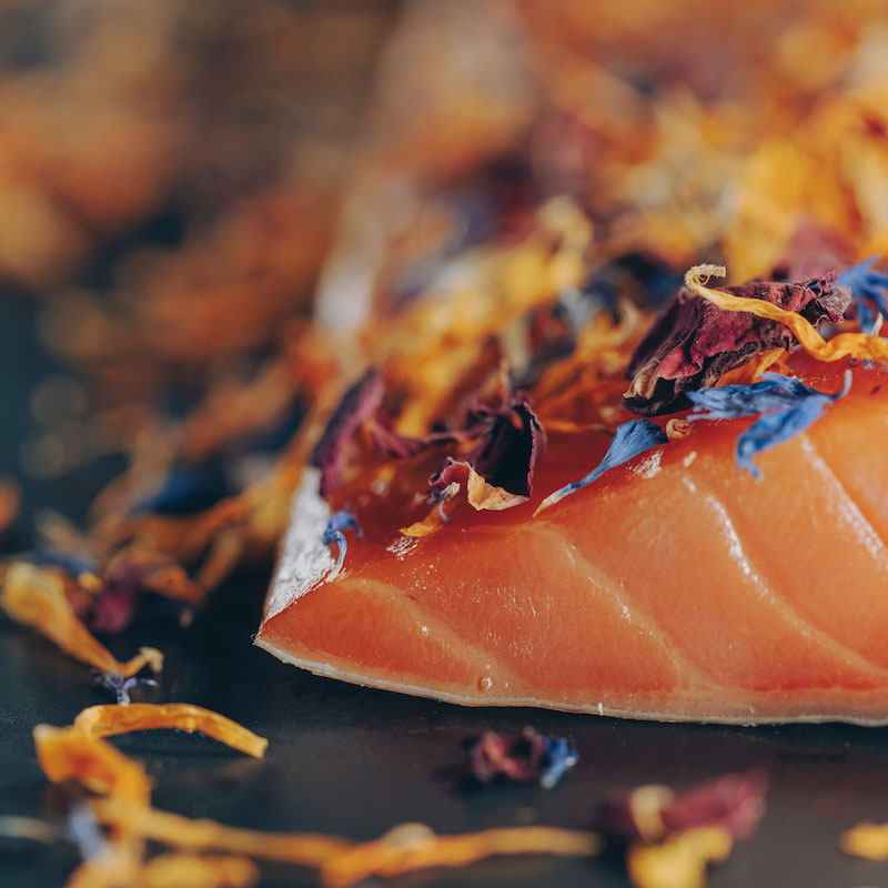Der Salmon Wildblume - DER SCHMIDT
